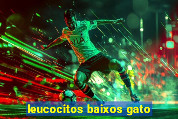 leucocitos baixos gato